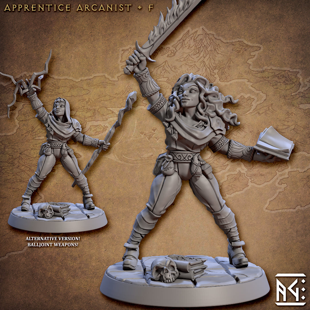 Apprentice Arcanists from Artisan Guild