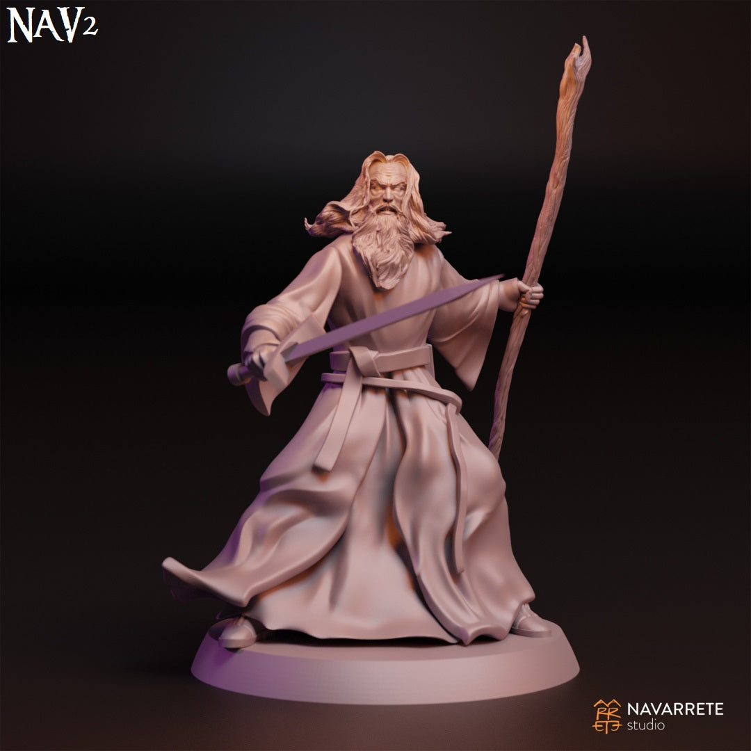 Galdorin the Mage from Navarrete Studios