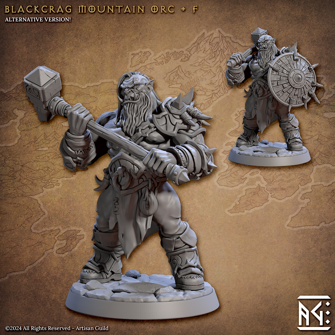 Blackcrag Mountain Orcs from Artisan Guild (squad of 12)