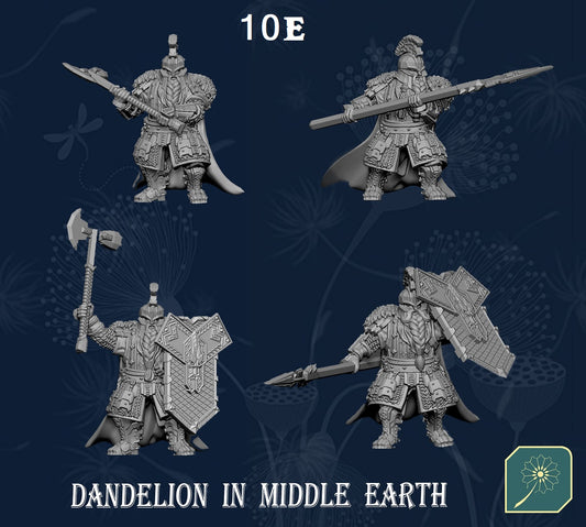 Metal Mountain Veteran Warriors (Unit of 8) from Dandelion in Middle Earth