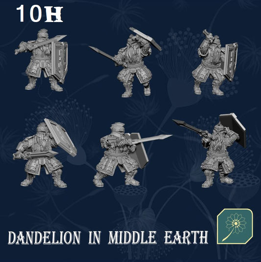 Metal Mountain Swordsmen (Unit of 20) from Dandelion in Middle Earth