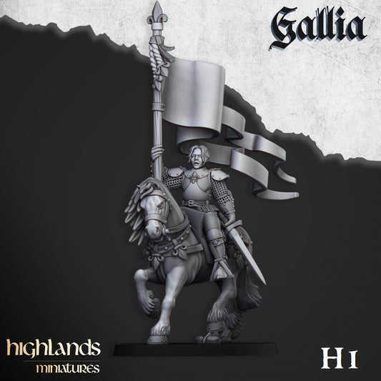 Baroness of Gallia from Highlands Miniatures