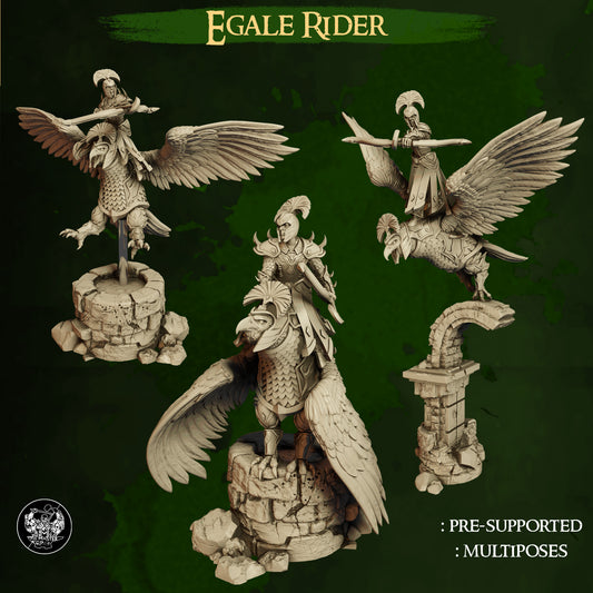 High Elf Eagle Riders from Master Forge