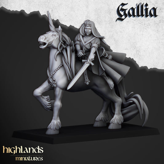Lady of Gallia on Unicorn from Artisan Guild