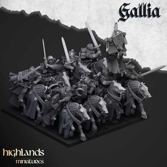 Questing Knights of Gallia from Highlands Miniatures